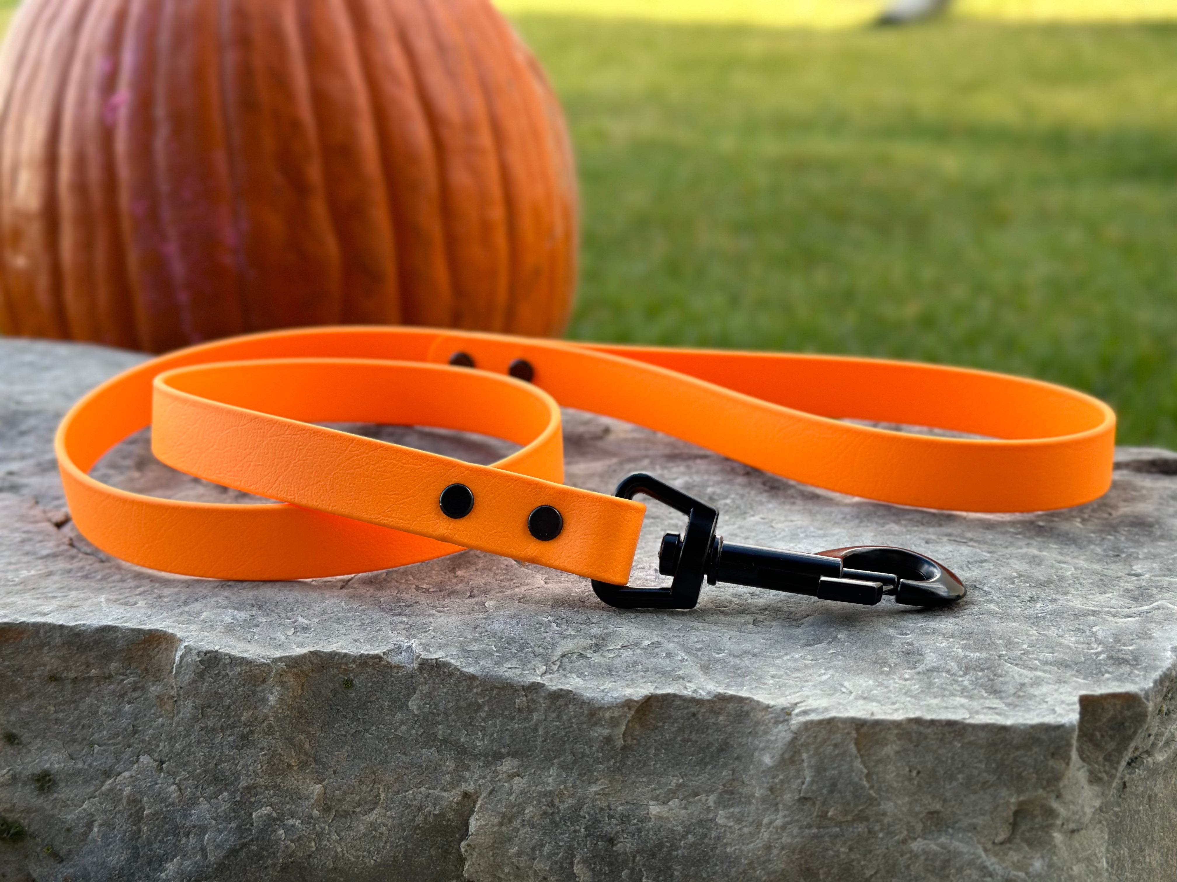 Leashes Ace Dog Gear LLC