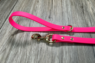Why Biothane Dog Leashes Are a Must-Have for Pet Owners
