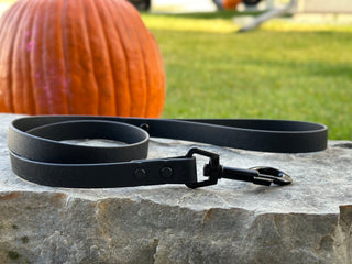 3/4" Biothane Beta Handle Leash