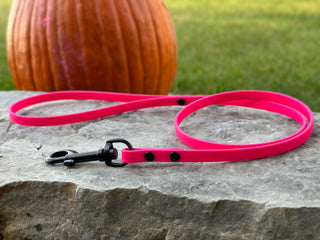 3/8” BioThane Beta Handle Leash