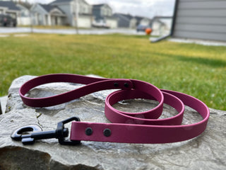 3/4" Biothane Beta Handle Leash